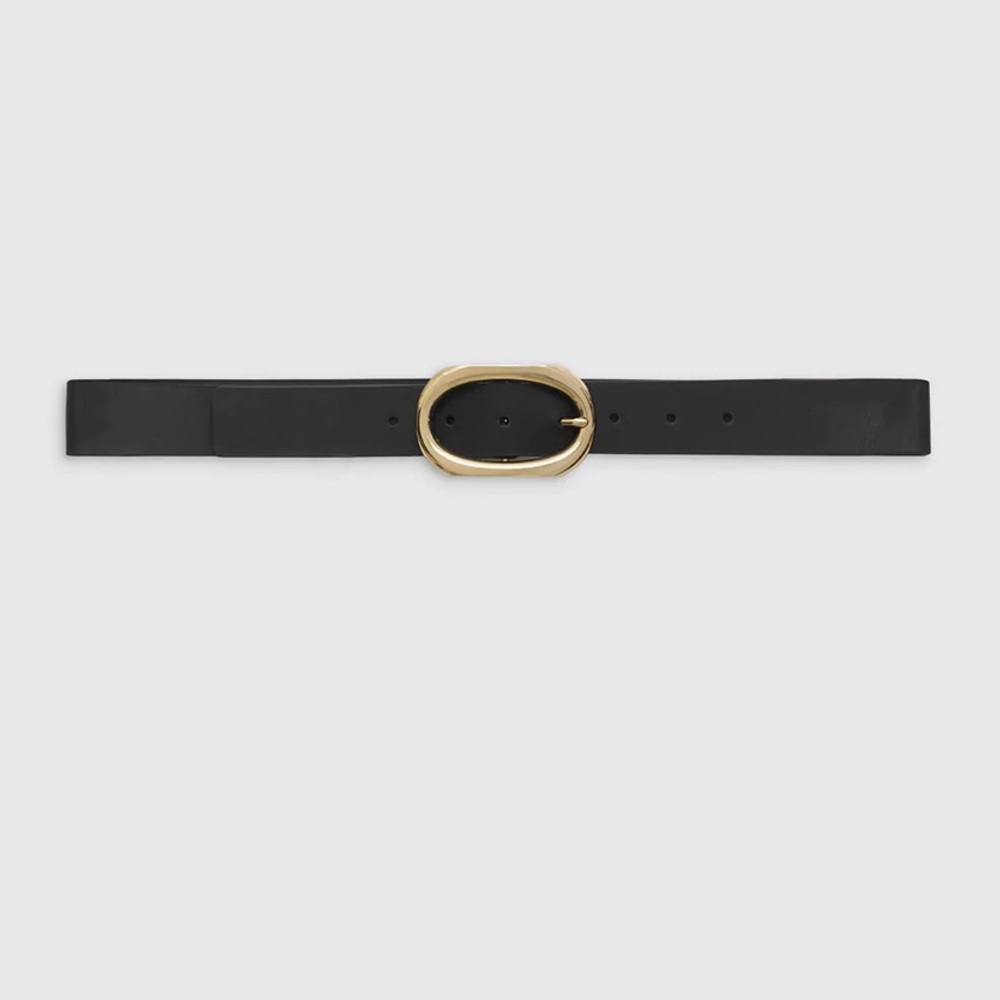 Anine Bing Black and Gold Belt Minimalist Design